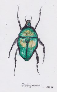 Käfer, Tuschezeichnung von kai Du